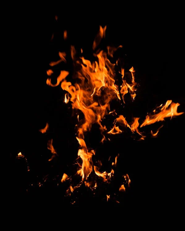 The Ultimate Guide to Charcoal: Everything You Wanted to Know