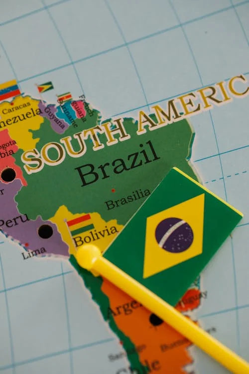 A Taste of Brazil: Discovering Brazilian BBQ and Picanha Churrasco