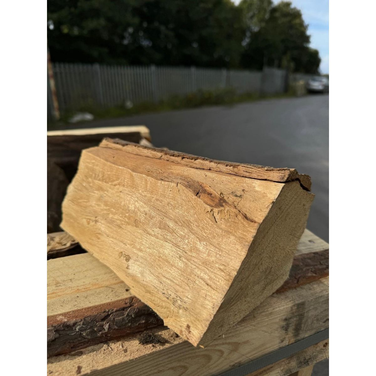 Natural Dried Hardwood Medium Crate - Hornbeam